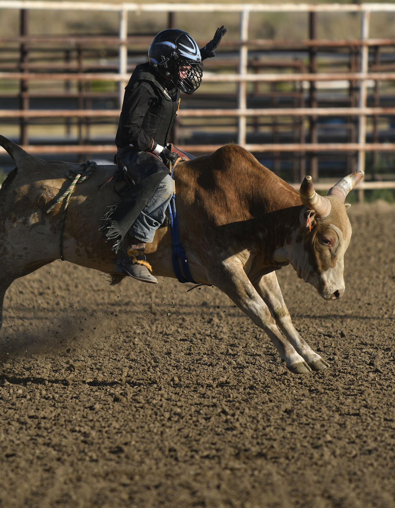 Lincoln County Mini Bull Riding